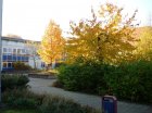 herbstimpressionen 04